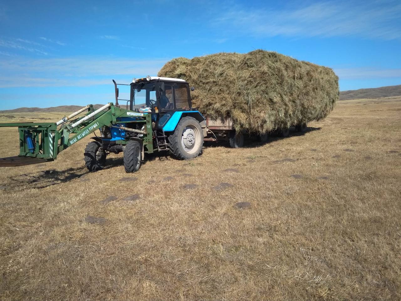 Абай ауданында мал басының саны былтырғы жылмен салыстырғанда 4 % өсті