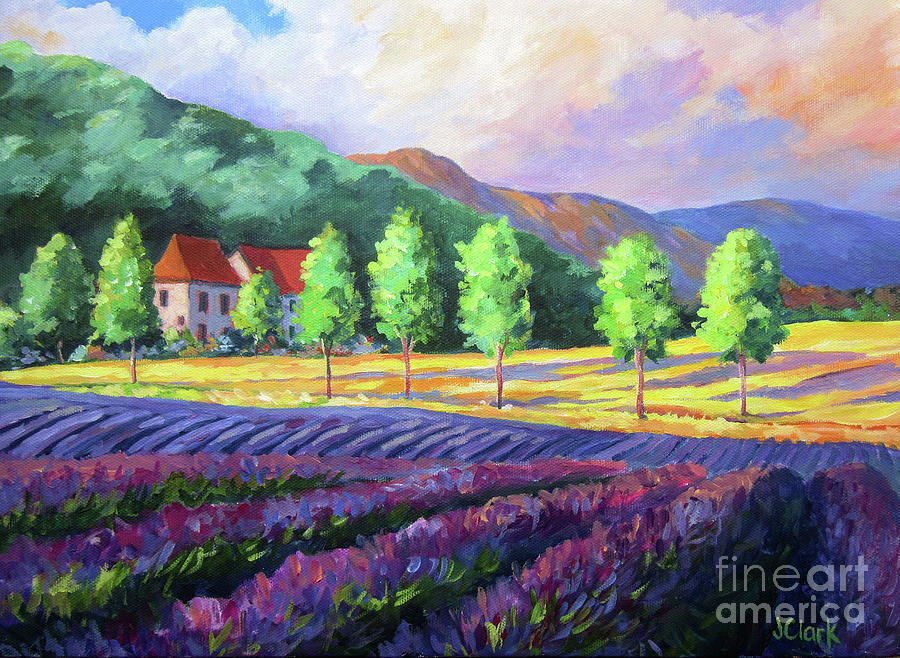 lavender-fields-in-provence-john-clark.jpg