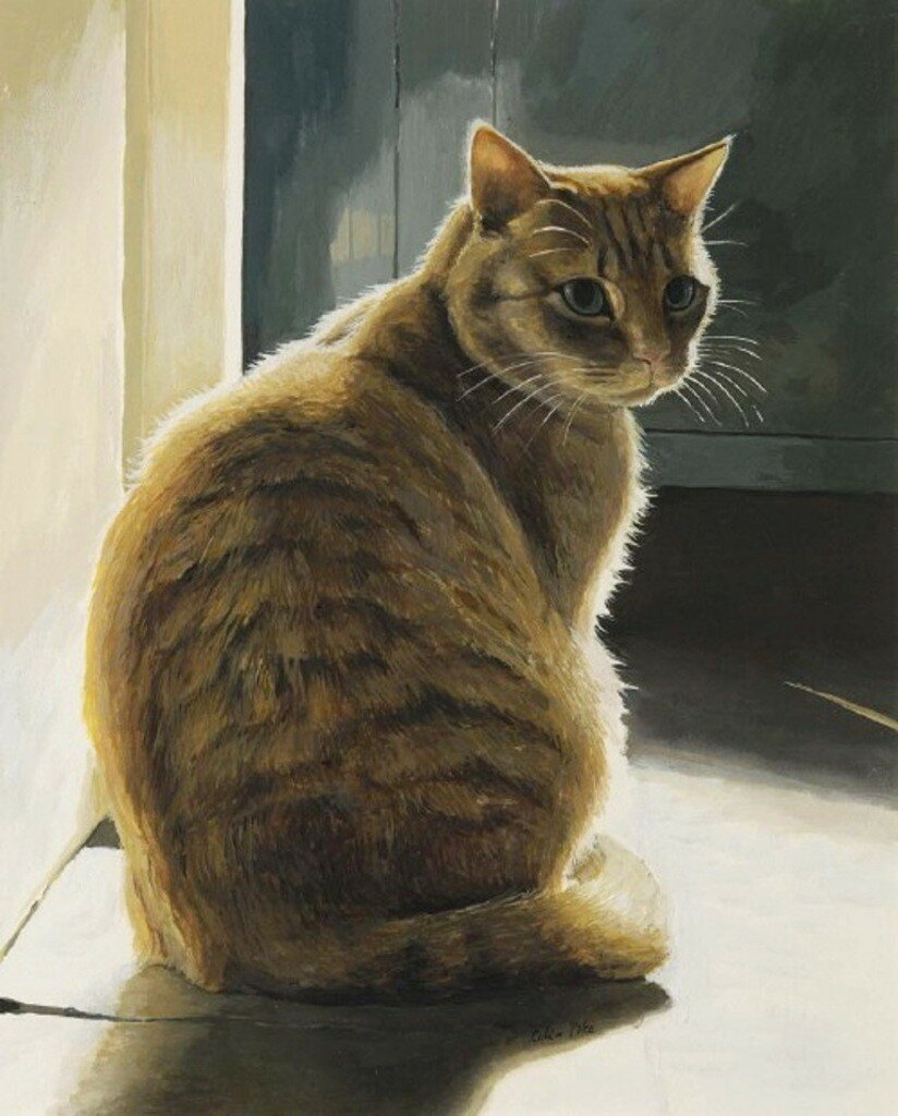 Cat painting. Селия Пайк коты. Селия Пайк картины. Кошки художницы Селии Пайк. Celia Pike художник.