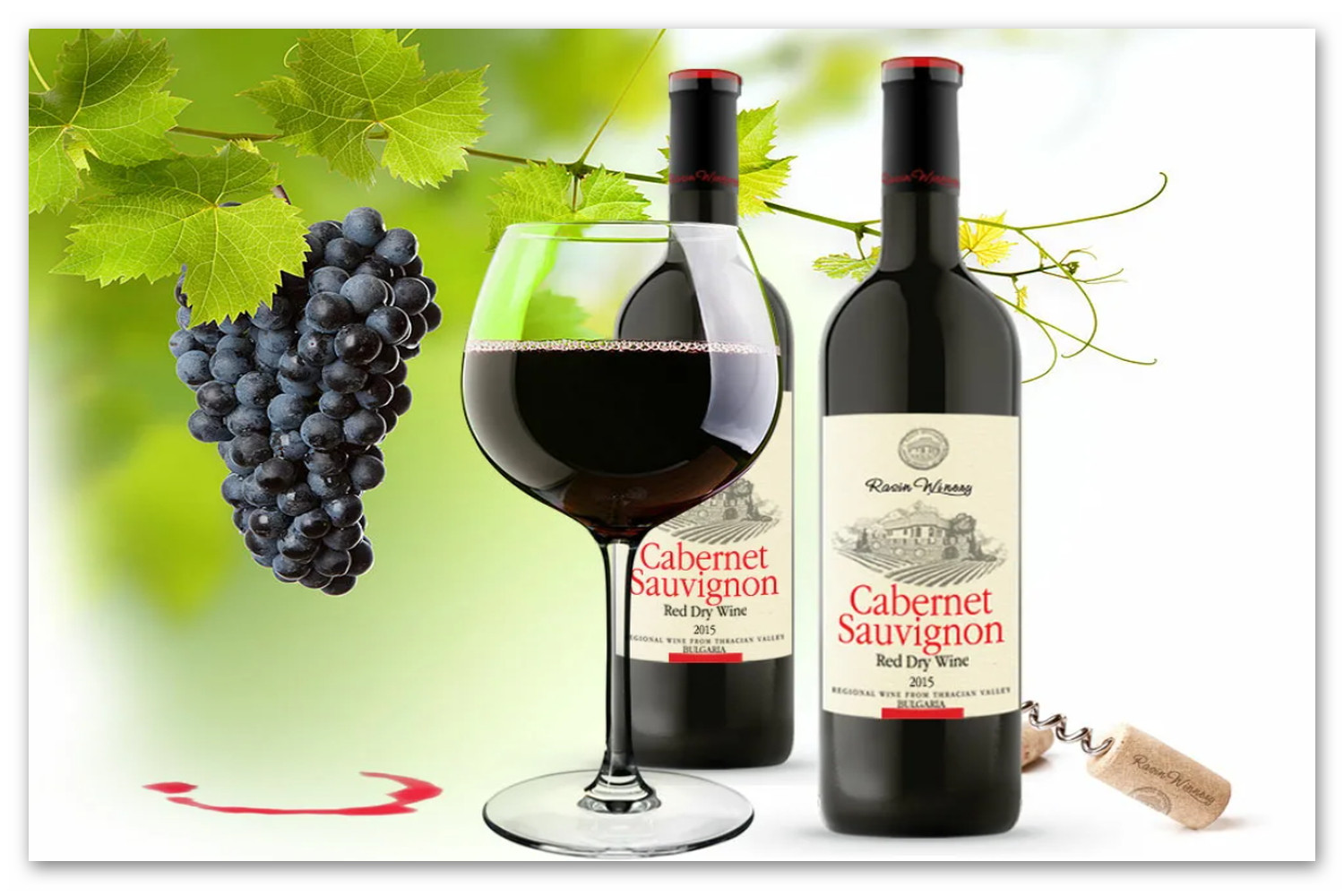 Виноград для вина купить. Каберне Совиньон сорт винограда. Каберне Совиньон вино красное. Международный день вина «Каберне Совиньон». Сорт винограда Каберне Совиньон вино.
