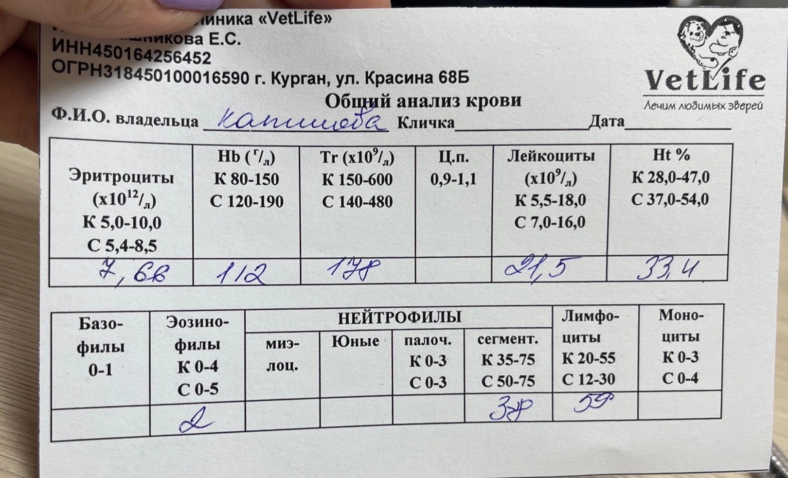 Изображение