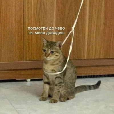 0855c378b3c7d3a69c94edaa83e115da.jpg