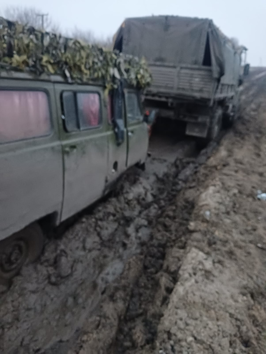 Картинки на аватарку в ватсап