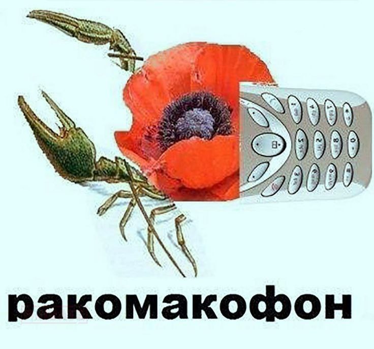 5f6d58893776a27bfb65a6ab33f1eda6.jpg