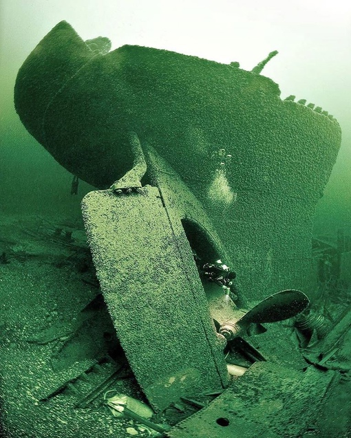 https://s1.hostingkartinok.com/uploads/images/2025/03/b2951616489c084544bd62b1845c2407.jpg