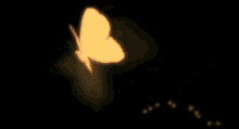 51c3651fd90e9389a04b04faaa711a06.gif
