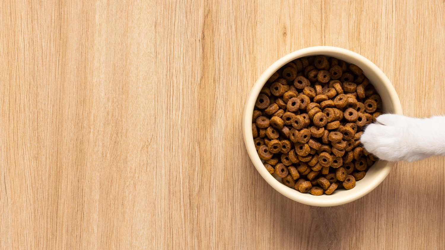 Мифы о сухом корме для кошек