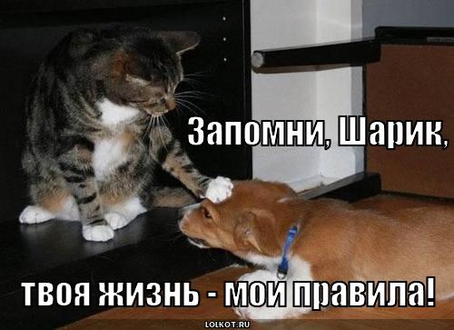 https://s1.hostingkartinok.com/uploads/images/2025/09/eb46d5886afe4882204232fc35a25454.jpg
