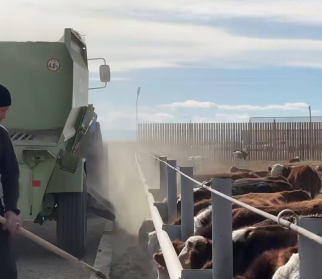 Ақсуат ауданында ауыл шаруашылығы саласын дамытуға бағытталған жаңа жоба іске қосылды