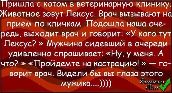 d0f59b55f5a2fd7e24871919af4223b5.jpg