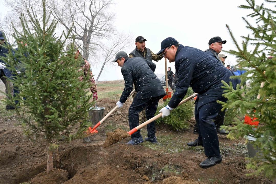 «Самұрық-Қазына» қоры өкілдері Семейде ағаш отырғызу шарасына қатысты