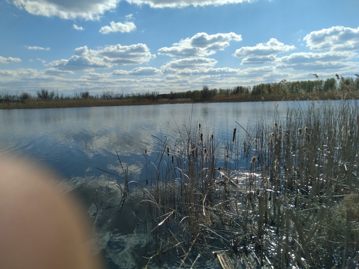 https://s1.hostingkartinok.com/uploads/images/2026/05/9af8dacc62539ea3f060891ee213434f.jpg