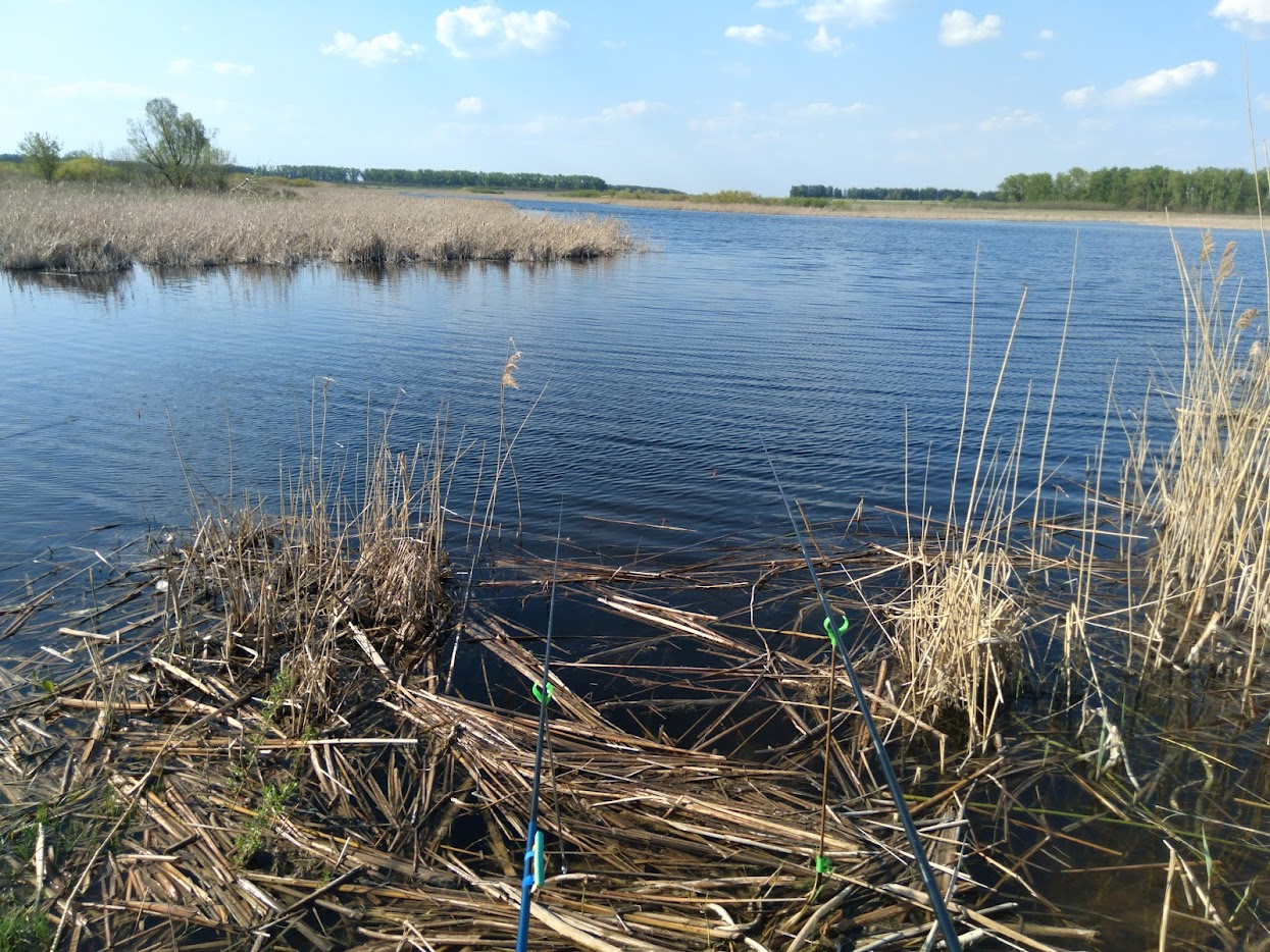 https://s1.hostingkartinok.com/uploads/images/2026/05/a87e76bdba51c3b2f7dcae9f2f1df0df.jpg