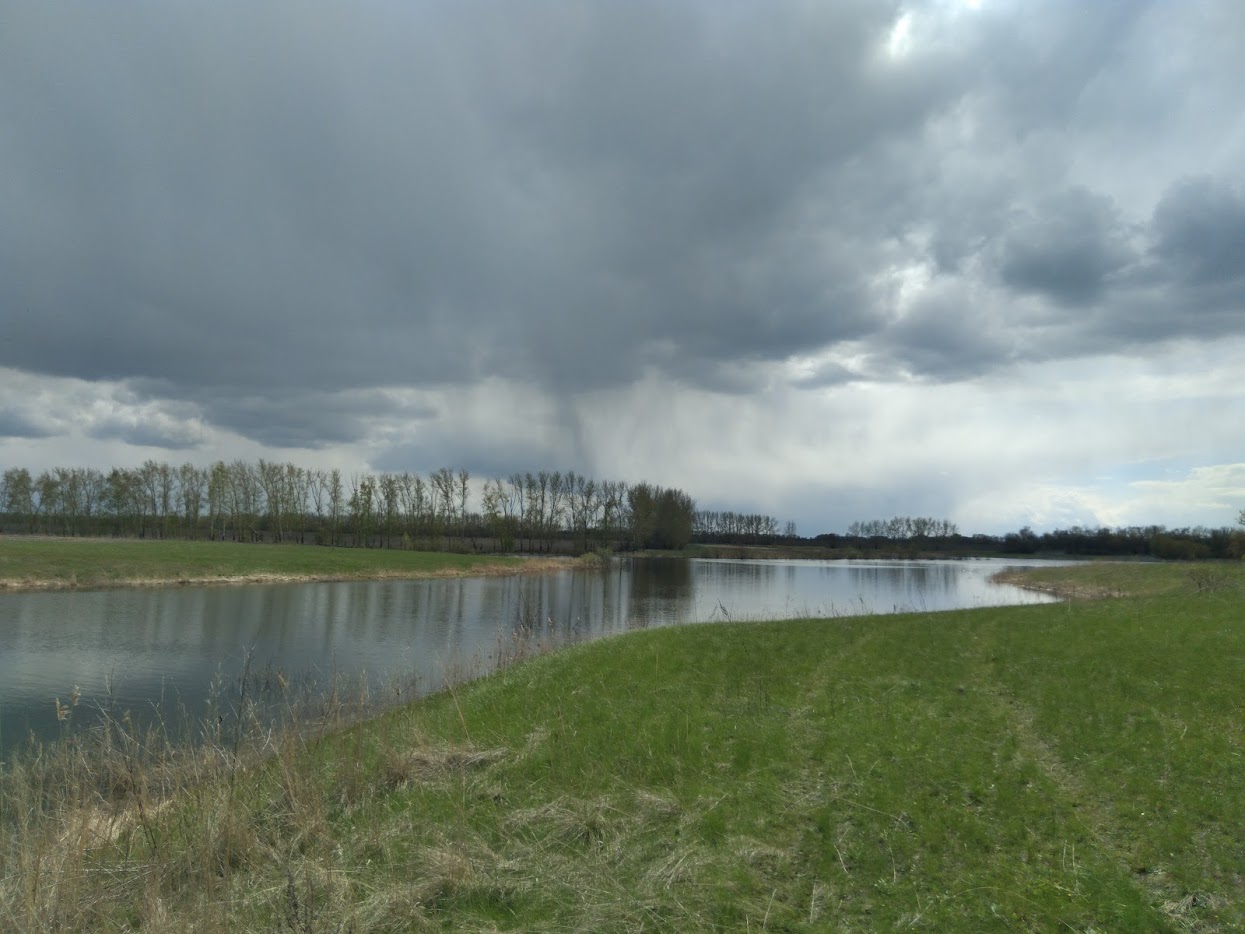https://s1.hostingkartinok.com/uploads/images/2026/05/add2b6977af2dc02ab59c67453585699.jpg