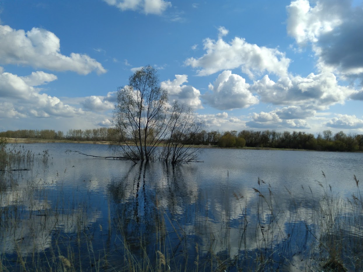 https://s1.hostingkartinok.com/uploads/images/2026/05/b19b7b36297387a902b45fcc65202214.jpg