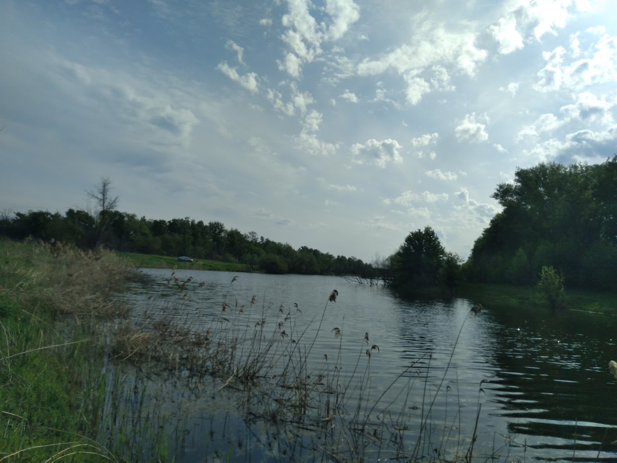 https://s1.hostingkartinok.com/uploads/images/2026/05/cfa8d8fa6c22044b5f46639d1525cfb7.jpg