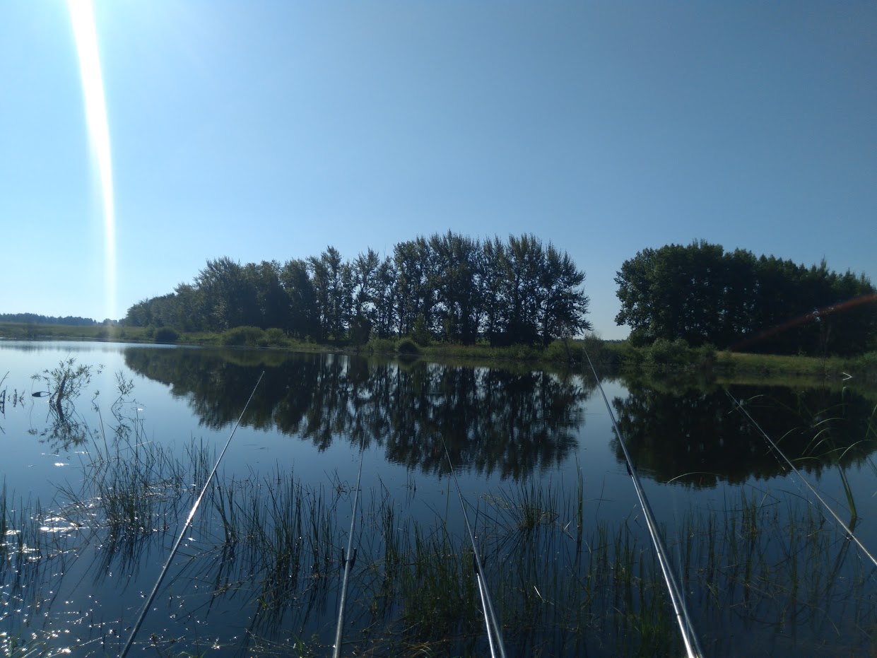https://s1.hostingkartinok.com/uploads/images/2026/07/d68621997e84c31e104f028a7513ec29.jpg