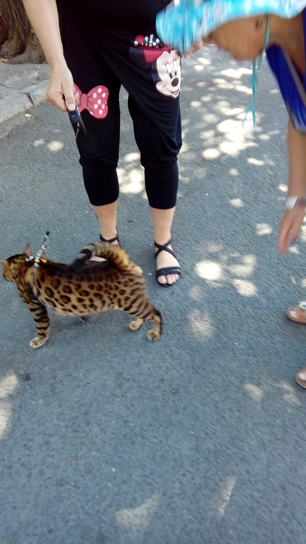 https://s1.hostingkartinok.com/uploads/images/2026/08/cb9ba6b6f1d09551e7ae5af5465b6443.jpg