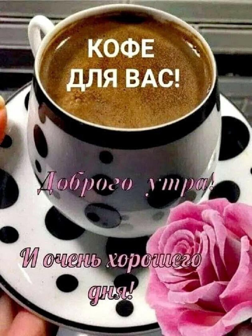 https://s1.hostingkartinok.com/uploads/images/2026/09/05ca0385657436d9af277d95b23656af.jpg