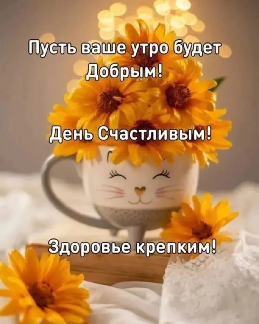 https://s1.hostingkartinok.com/uploads/images/2026/09/0f63991a88de6c16cd01d3aca74c84d8.jpg