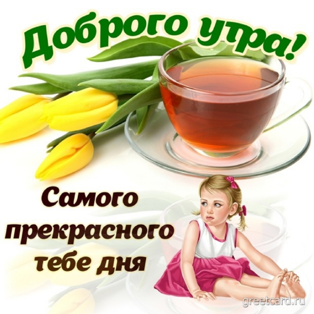 https://s1.hostingkartinok.com/uploads/images/2026/09/11359532f982d8a8b68cd88335102589.jpg