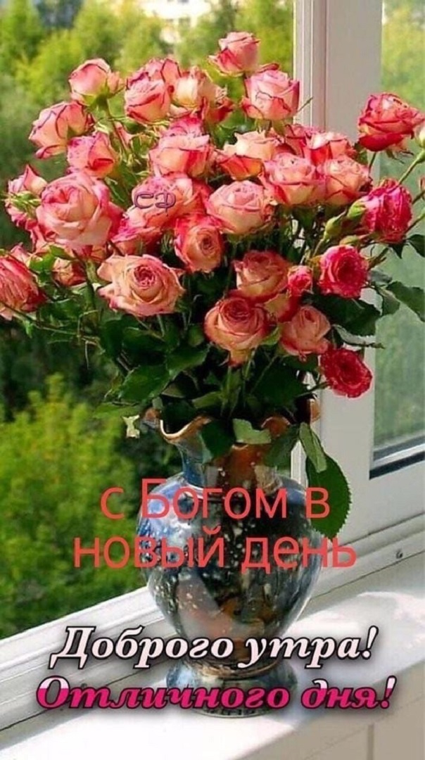 https://s1.hostingkartinok.com/uploads/images/2026/09/11ff9a56fcdb9ef65b403f24cce2d486.jpg