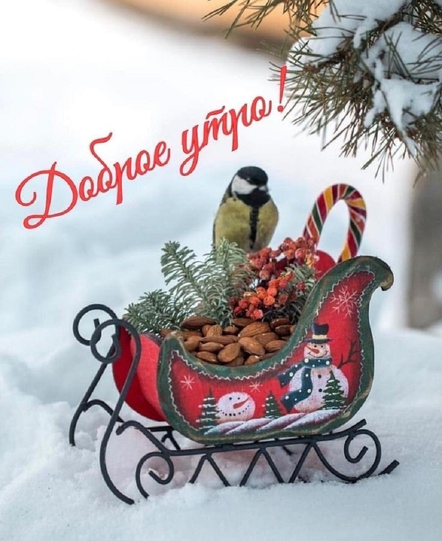 https://s1.hostingkartinok.com/uploads/images/2026/09/1bcb4317c0ed07836f2c5ed0c30491ed.jpg