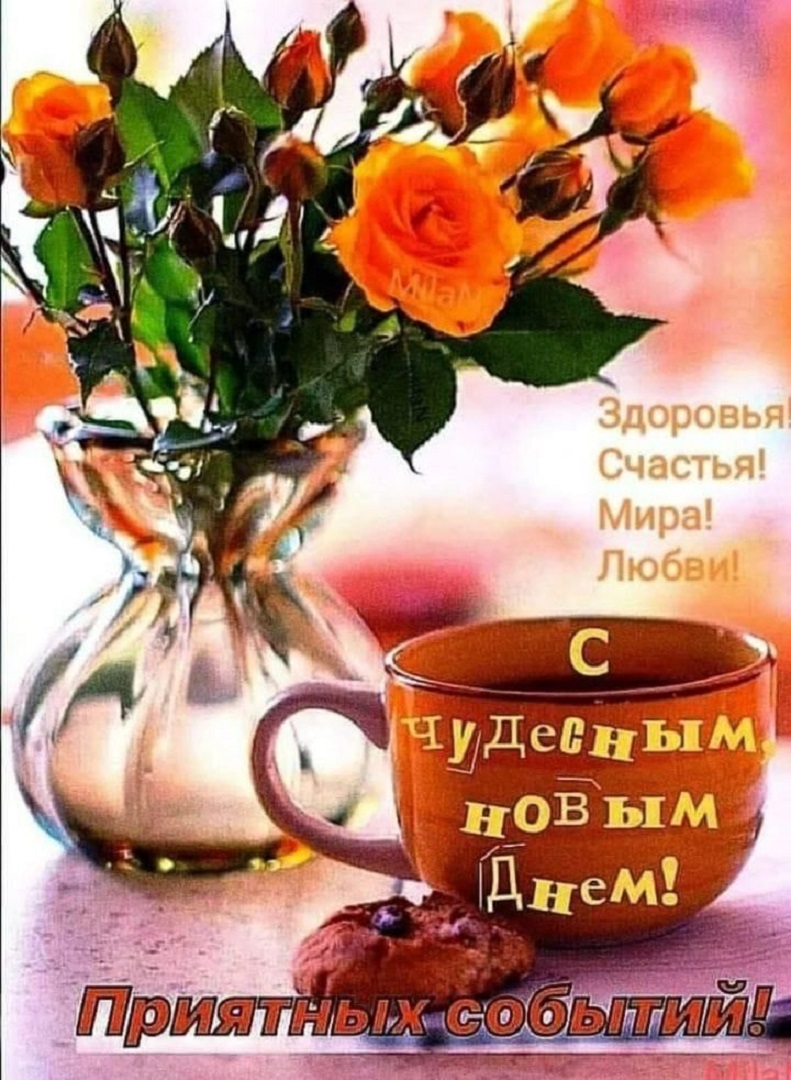 https://s1.hostingkartinok.com/uploads/images/2026/09/3725e859990345d9bdba50d48adb3299.jpg