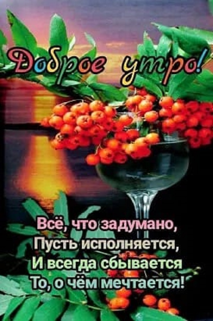 https://s1.hostingkartinok.com/uploads/images/2026/09/3fa6c8d1d11239955b65e70037a7e8aa.jpg