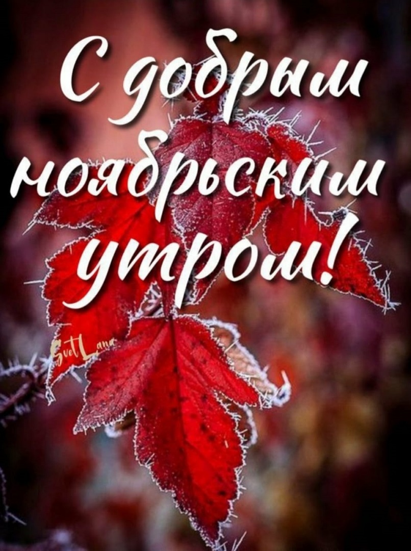 https://s1.hostingkartinok.com/uploads/images/2026/09/58c5d2b39c24b613ecd013090af103d5.jpg