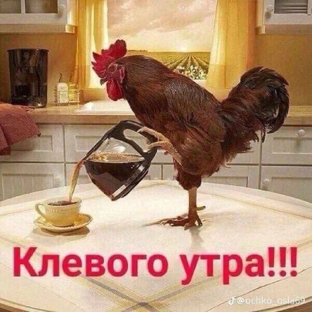 https://s1.hostingkartinok.com/uploads/images/2026/09/8143feb4fcc24d6b4aa76b7847fb9f73.jpg