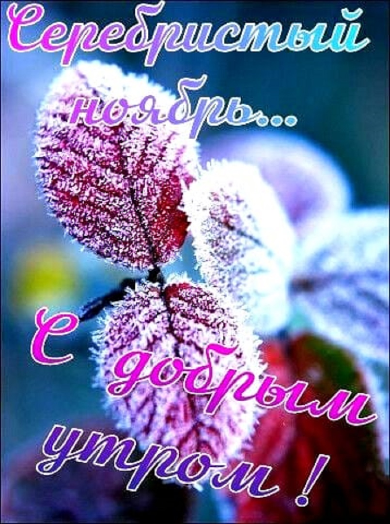 https://s1.hostingkartinok.com/uploads/images/2026/09/995a85e58d1e9d1be8d11112ef593727.jpg