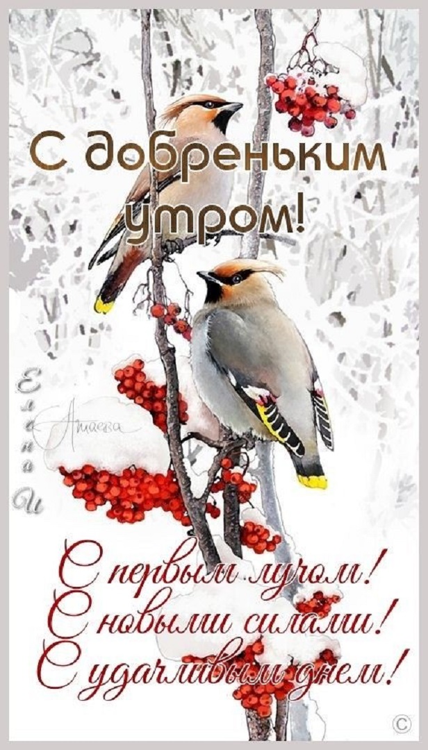 https://s1.hostingkartinok.com/uploads/images/2026/09/b13bfccb42269ef037f6208a20c090dd.jpg