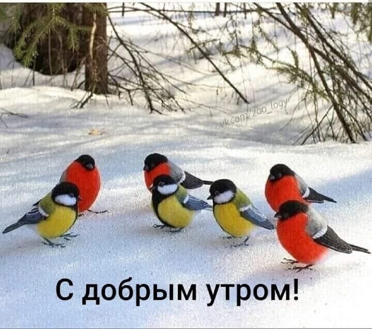 https://s1.hostingkartinok.com/uploads/images/2026/09/bbb16b2c8de8c9b0dc2e347c6948033b.jpg