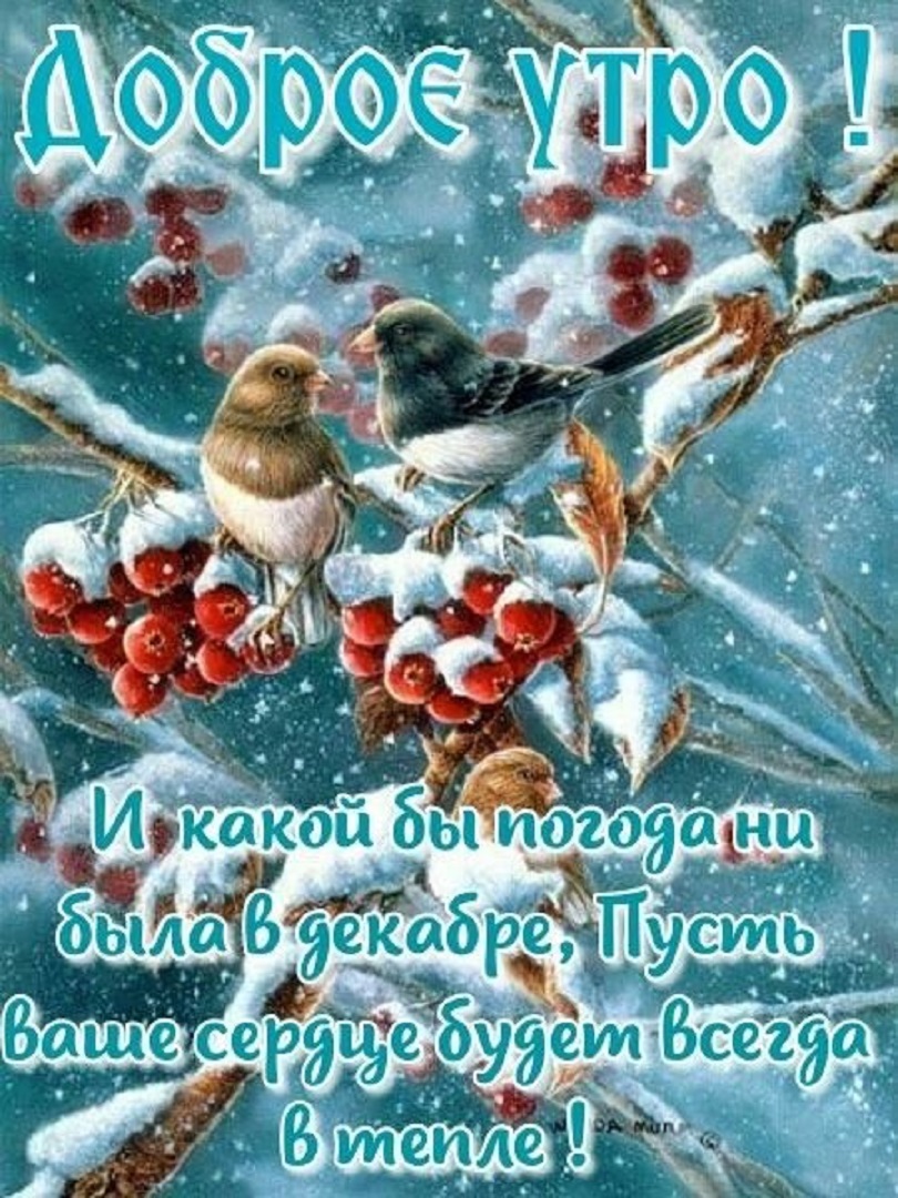 https://s1.hostingkartinok.com/uploads/images/2026/09/c375aab9b2276aa4bdb2b2930969834f.jpg