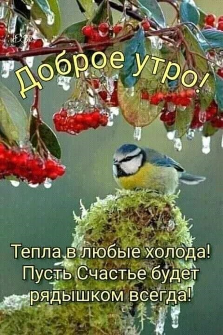 https://s1.hostingkartinok.com/uploads/images/2026/09/ca9c91d537eb8b629bd78699b6849797.jpg