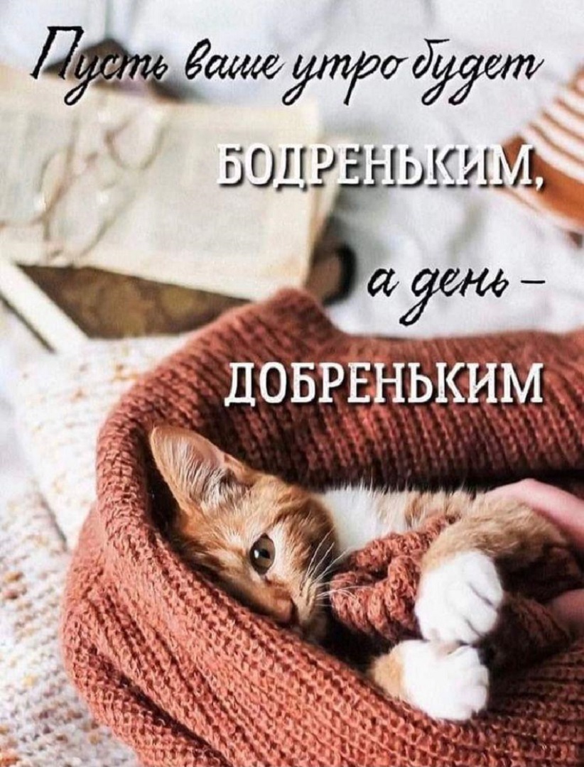 https://s1.hostingkartinok.com/uploads/images/2026/09/d0d34dd1cb612213f0abd1cbf1791a24.jpg