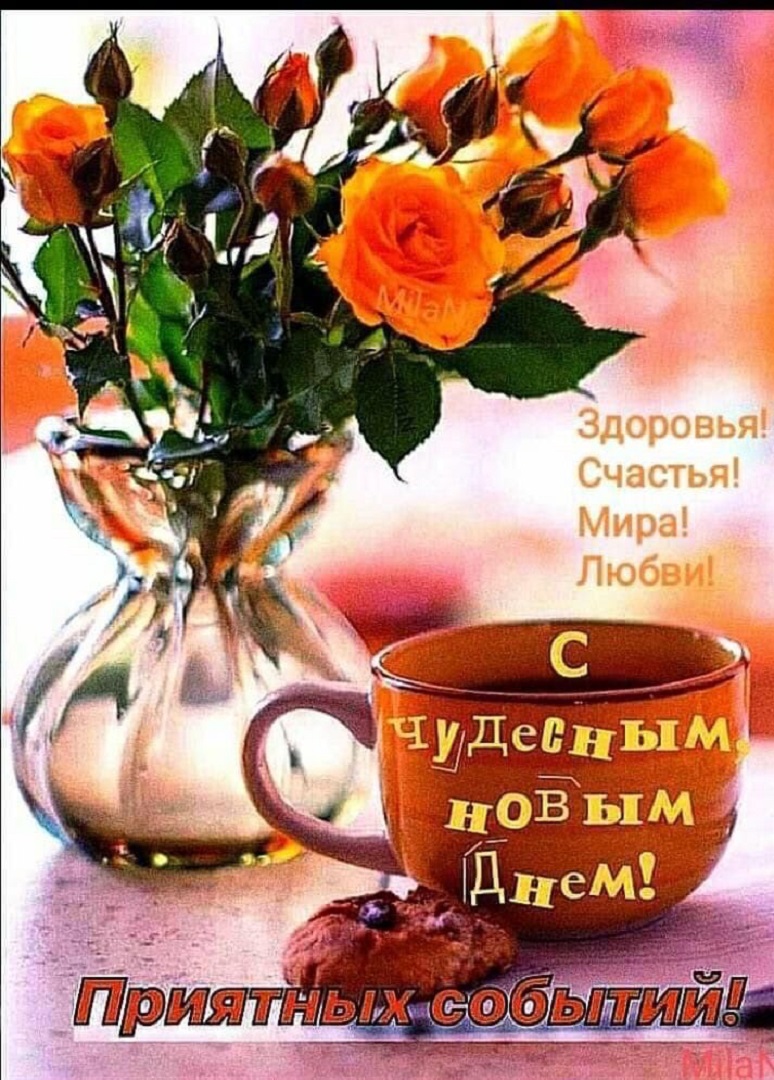 https://s1.hostingkartinok.com/uploads/images/2026/09/e458f0703f192161b6cf2171b18a3802.jpg
