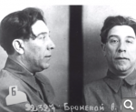 Показать в полный размер