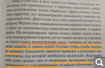 Показать в полный размер