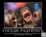 Показать в полный размер