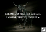 Показать в полный размер