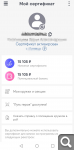 Показать в полный размер
