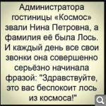 Показать в полный размер