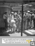Показать в полный размер
