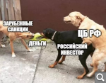 Показать в полный размер