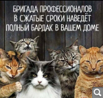 Показать в полный размер