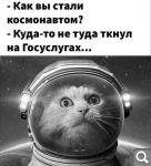 Показать в полный размер