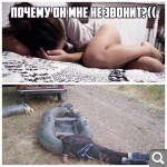 Показать в полный размер