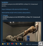Показать в полный размер